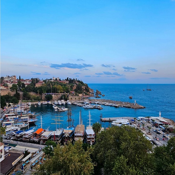 Meet your Posher, L - Picture 1 of 1